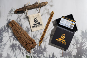 Gold Plated Elite Rudraksha Bracelet - Nexsoul