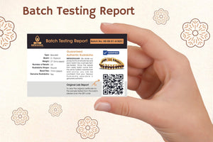 Gold Plated Elite Rudraksha Bracelet - Nexsoul